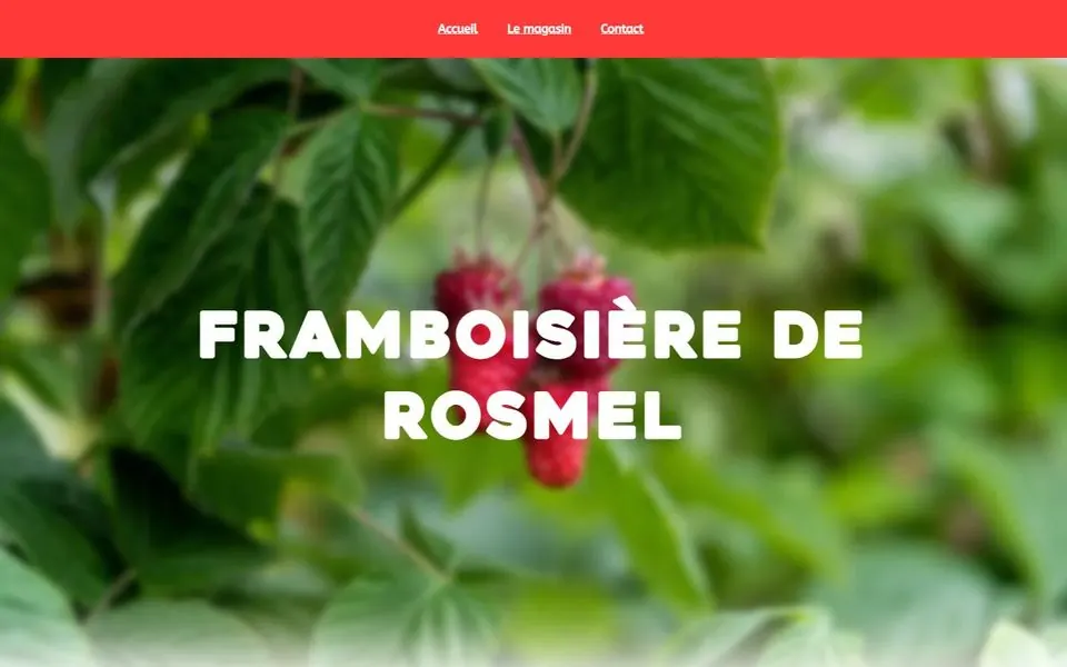 Site de la Framboisière de Rosmel sur ordinateur